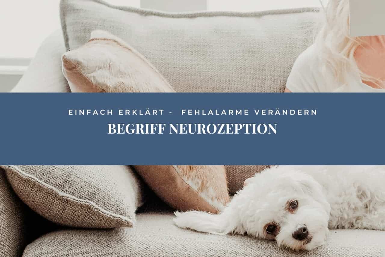 Was ist Neurozeption