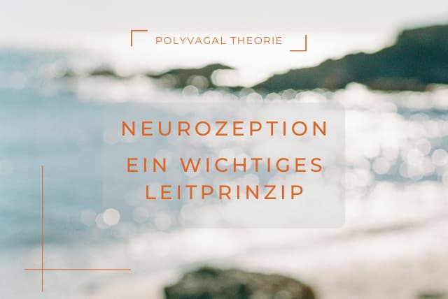 Was ist Neurozeption