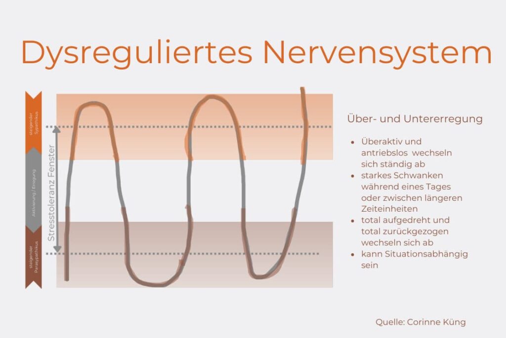 Was ist Dysregulation im Nervensystem?