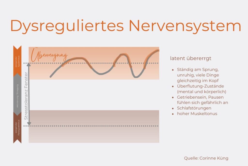 Was ist Dysregulation im Nervensystem?