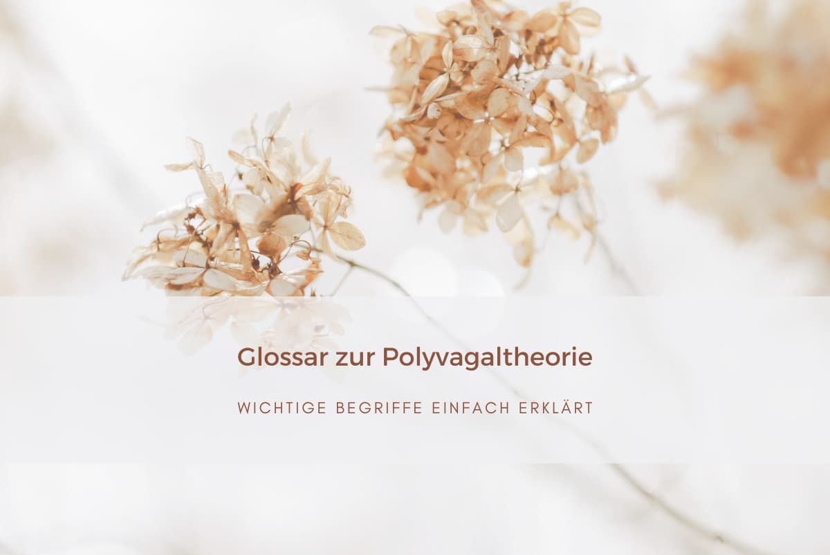 Polyvagaltheoroie-komplexe Begriffe einfach erklaert