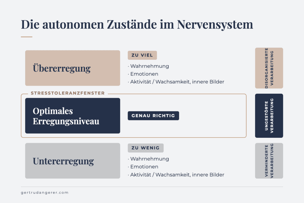 Dieser mittlere Erregungszustand beschreibt dein Stresstoleranzfenster
