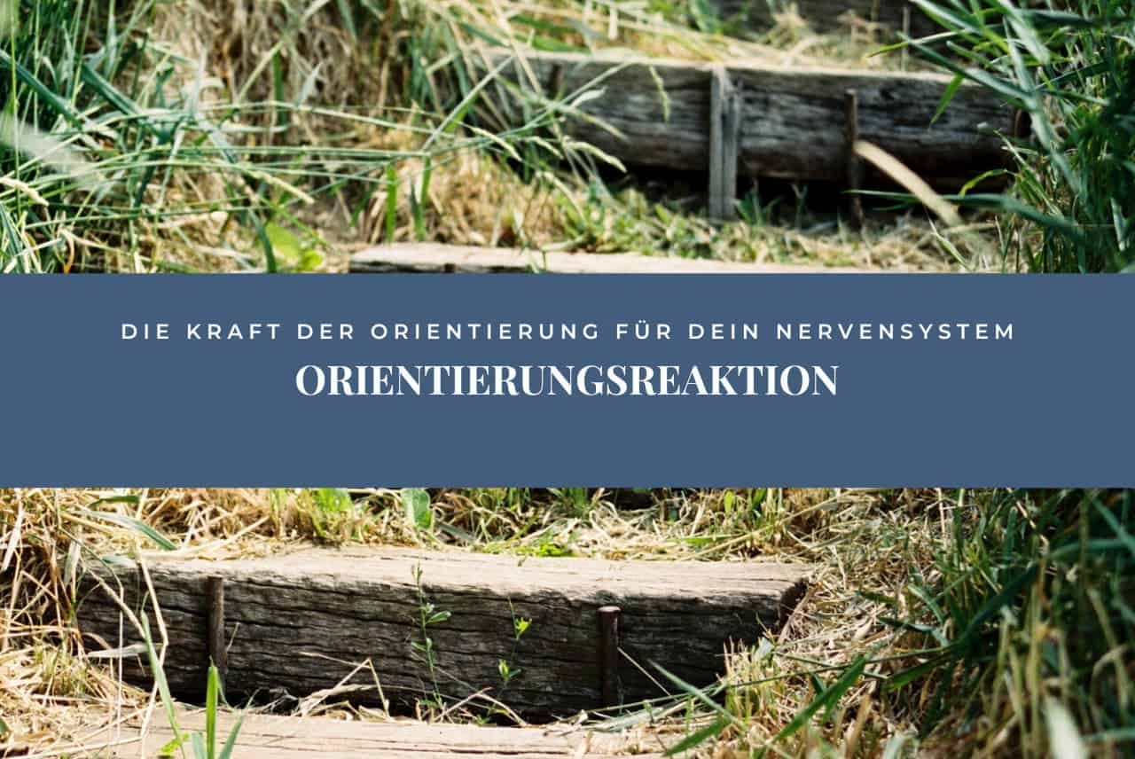 Die Kraft der Orientierung: Wege aus der Dysregulation