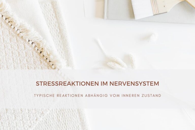 Stressreaktionen im Nervensystem