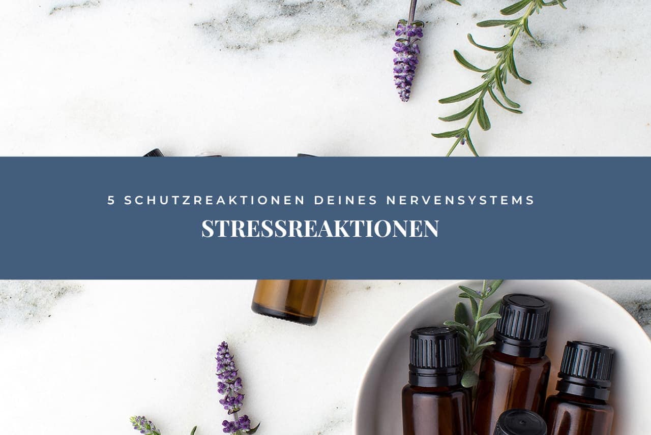 Stressreaktionen: 5 Schutzreaktionen deines Nervensystems