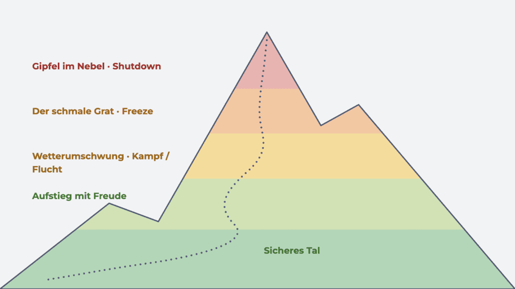 Leiter mit vier Stufen des Nervensystems: Sicheres Tal, Kampf/Flucht, Freeze und Shutdown, jeweils mit einem typischen inneren Satz.