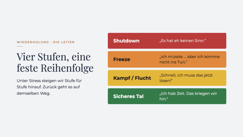Berg mit farbigen Zonen und einem gepunkteten Weg vom Gipfel ins Tal, mit fünf Schritten, um das Nervensystem zu beruhigen.