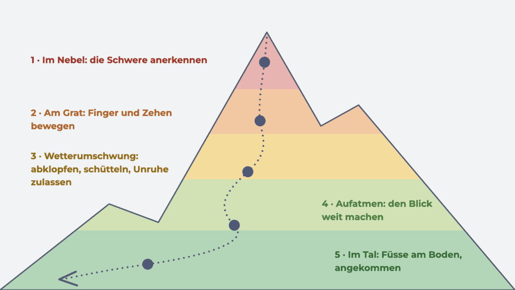 Ampel mit grünem, gelbem und rotem Licht neben den fünf Zuständen des Nervensystems und je einer kurzen Erklärung.